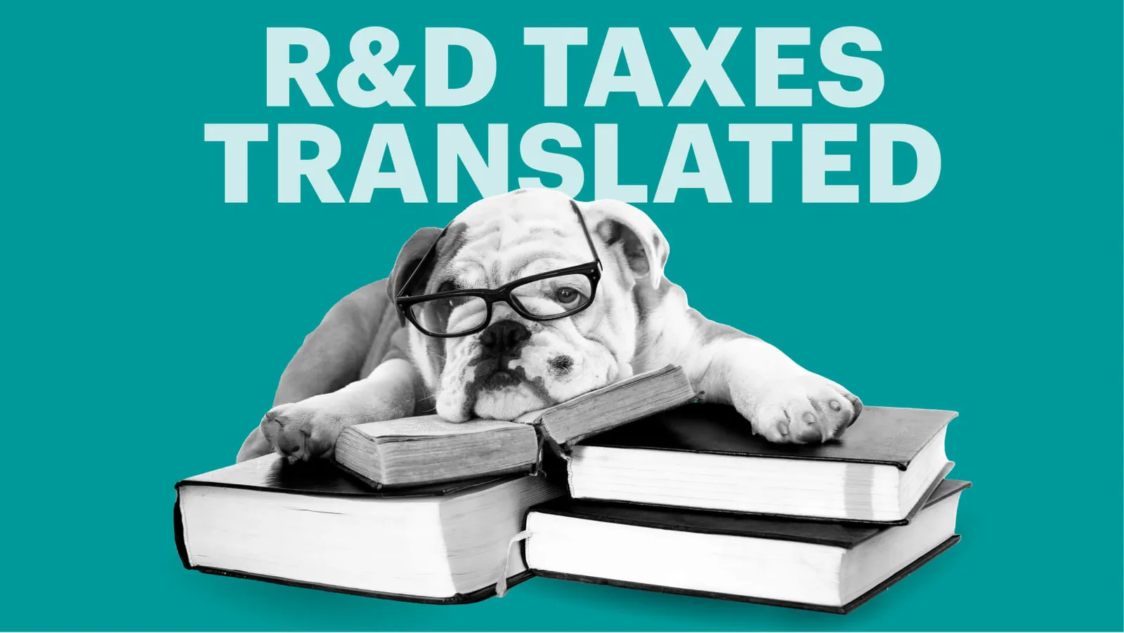 R&D Tax Explainer Dog