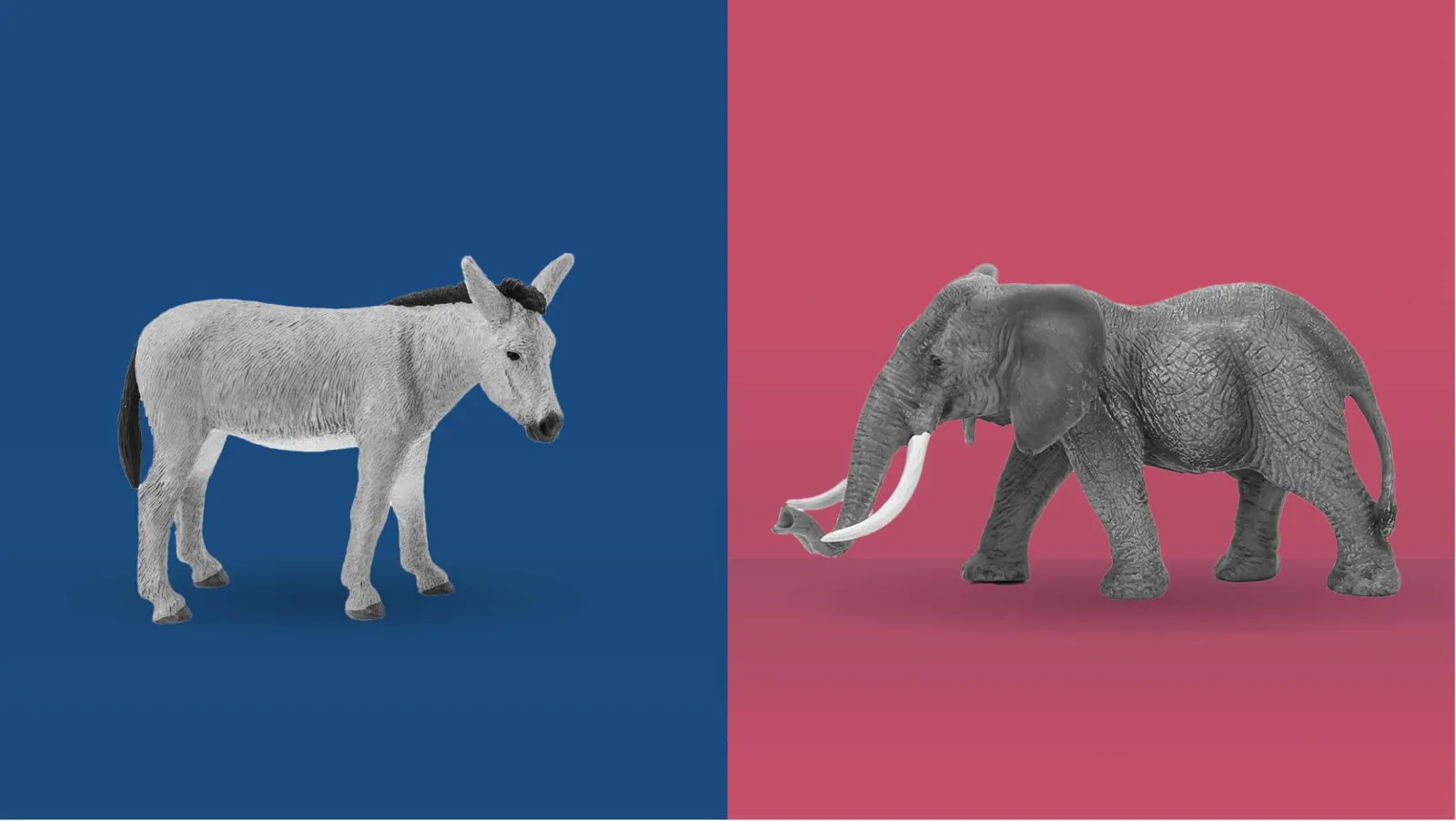 What Do the Midterm Elections Mean for R&D Capitalization?