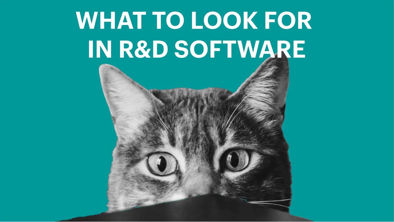 What To Look For in Your R&D Tax Credit Software